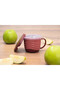 Eco-Friendly Organic Snack Box for Toddlers - 4