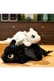 How to Train Your Dragon Toothless Plush Toy 30cm Light Fury Toothless Plush White - 3