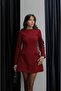 Burgundy Miniature Bow Detailed Dress - 3