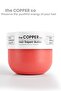 Containing Arginine and Mineral - Enriched Repair Conditioner 300ml - 4