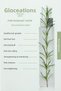 Rosemary Water Anti-Hair Loss and Hair Growth Supporting Hair Tonic 100% Natural 100 ml X 2 - 5