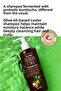 Kombucha Extract Fermented Shampoo -3 Pieces- Organic Olive Oil + Coconut Oil + Vitamin E 250 ml - 3