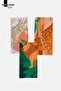 Safari - Colorful Printed Set of 3 40X60 Kitchen Towels, Dish Cloth - 8