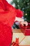 Baby Girl Kids Dress Long Sleeve Tulle Tutu Special Occasion Party Birthday Princess Silvery Christmas Dress - 7