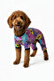 Cat-Dog Butterfly Patterned Outfit - Small Breed