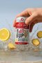 Ginger Brew – Premium Sparkling Ginger Lemon Drink, Refreshing Taste – 180g Can (Pack of 24) - 3