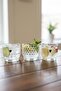 Minilove 3-Piece Glass Bowl Set (3 X 290 ml) - 3
