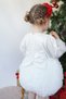 Baby Girl Kids Dress Long Sleeve Tulle Tutu Special Occasion Party Birthday Princess Silvery Christmas Dress - 9