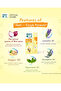Complete - Purple, Blue, Green, Yellow & Orange (Kids) - 4