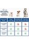 1 Set Of 40 Piece Portable Disposable Pet Dog Urine Pad, Easy To Train Dogs To Pee - 6