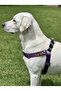 Dog Chest Harness Medium and Large Breed Adjustable Column Cord and Nubuck Leather Purple