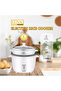 طباخ أرز كهربائي DENX DX2085 - صغير الحجم، فعال ومتعدد الوظائف - 5