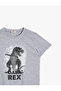 Gray Boy T-Shirt - 3