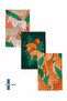 Safari - Colorful Printed Set of 3 40X60 Kitchen Towels, Dish Cloth