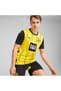 Mens Borussia Dortmund 24/25 Home Football Jersey Top - Yellow