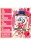 Critical Mass Lean Mass Gainz, White Chocolate Raspberry, 2.45 Kg - 2