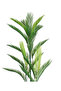 شجرة اريكا صناعية بثلاثة اغصان بمركن بلاستيك بارتفاع 115 سم - 2