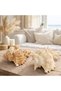 Natural Sea Shell Collection – Large Decorative Seashells for Home Decor, Beach Theme Decorations - 4