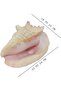 Natural Sea Shell Collection – Large Decorative Seashells for Home Decor, Beach Theme Decorations - 2