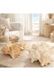 Natural Sea Shell Collection – Large Decorative Seashells for Home Decor, Beach Theme Decorations - 3