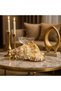 Natural Sea Shell Collection – Large Decorative Seashells for Home Decor, Beach Theme Decorations - 8