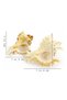 Natural Sea Shell Collection – Large Decorative Seashells for Home Decor, Beach Theme Decorations - 2