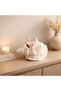 Natural Sea Shell Collection – Large Decorative Seashells for Home Decor, Beach Theme Decorations - 5
