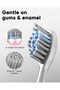 DY156 Electric Toothbrush for Adults, Rechargeable Sonic Battery Toothbrush Portable with 3 - 6