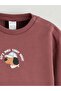 Crew Neck Printed Baby Boy Sweatshirt (W5) - 2