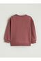 Crew Neck Printed Baby Boy Sweatshirt (W5) - 3