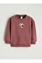 Crew Neck Printed Baby Boy Sweatshirt (W5)