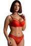 Lace Crossed String Push up (Padded) Bra Panty Set Ebr8061 (with Bra Washing Ball as a Gift) - 2
