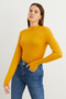 Women's 4-Piece Set Cream Bitter Brown Mustard Burgundy Finger Detailed Bodysuit - 4