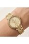Women's Wristwatch |   32mm Steel Case, Steel Band, Sapphire Glass, Stylish Design