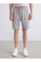 Standard Fit Men's Shorts - 2