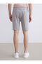 Standard Fit Men's Shorts - 4