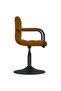 Swivel Dining Chairs 4 pcs Brown Velvet - 4