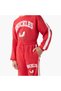 Boys Sweatshirt and Joggers Set with Knuckles the Echidna - Cotton Blend - Long Sleeves - Crew Neck - 4