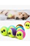 Colorful Tennis Ball Set for Dogs (4 Pieces) - 3