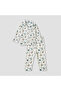 Dinosaur Print Shirt and Pyjama Set