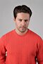 Pomegranate Flower Crew Neck Embossed Hair Braid Patterned 100% Lamb Wool Men's Knitwear Sweater - 4