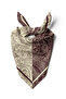 Two Seasons Paisley Pattern 55X55Cm Bandana/Scarf - 2