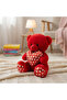 30 CM Soft Red Teddy Bear with Heart – Gift for Valentine’s, Birthday & Special Occasions - 3