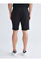 Black Standard Fit Men's Shorts - 8