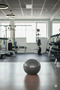 55cm Pilates Ball - Exercise - Yoga - Stretching - Height Increase - Flexibility - Sports - Athletics - 4