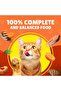 Wet Cat Food Beef and Vegetables Nutritious Wet Meal for Adult Cats - 3