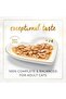 Gravy Lovers Salmon Feast In Seared Salmon Flavour Gravy Cat Food Seared - 2