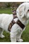 Personalized Dog Collar Adjustable Small & Medium & Large Breed Colar Cord Brown - 4