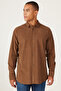 Mink Comfort Fit Relaxed Fit Hidden Button Collar 100% Cotton Shirt