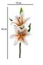 Artificial Flower Luxury 2-Branch Wet Tiger Flower 40 cm Salmon-Red Line - 3